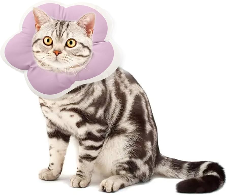 Amazon | エリザベスカラー 猫 エリザベス カラー 柔らかい